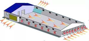 <span class=keywords><strong>บ้าน</strong></span>ไก่โครงสร้าง<span class=keywords><strong>เหล็ก</strong></span>สำเร็จรูปอาคารโรงเลี้ยงสัตว์ปีกแบบอัตโนมัติ - Product Image 3