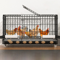 Prix d'usine Grande cage à poulets d'élevage, collecte automatique des œufs, anti-picage, anti-écrasement, poulailler métallique pliable