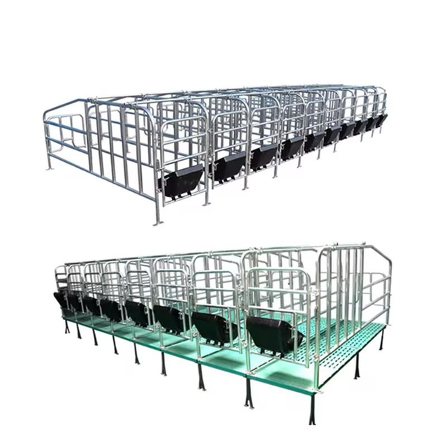 Factory Supply New H-Type Hot-Dip Galvanized Steel Gestation Crates Durable Animal Cages Option for Pig Farms
