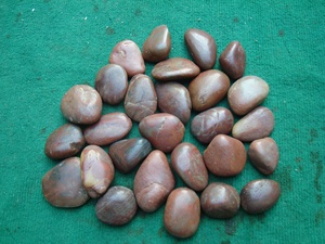 <strong>Polishing</strong> Natural China Red <strong>River</strong> Rock <strong>Stone</strong> for Garden Paving - Product Image 5