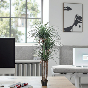 <span class=keywords><strong>Árbol</strong></span> <span class=keywords><strong>de</strong></span> Plátano Artificial <span class=keywords><strong>de</strong></span> Alta Calidad, Jade Horizon, <span class=keywords><strong>Dracaena</strong></span> <span class=keywords><strong>Draco</strong></span>, Plástico/PE/PVC, Ecológico, Duradero, Resistente al Agua - Product Image 4