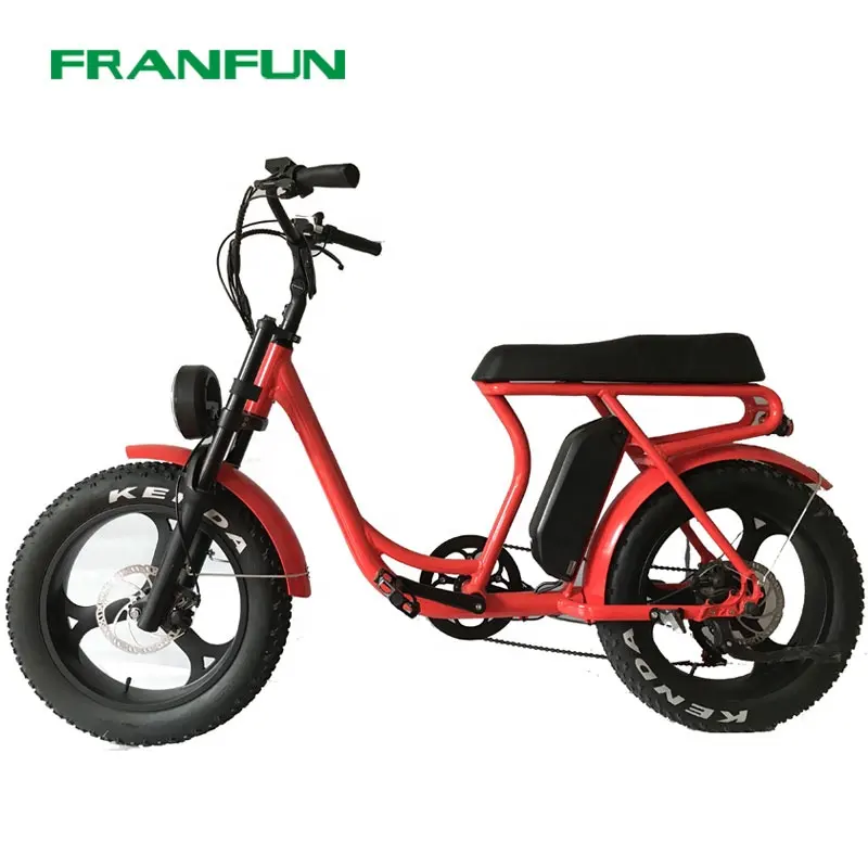 Franfun 750W 45 Km/h Vet Fiets Cruiser Vet Wiel Fiets Elektrische