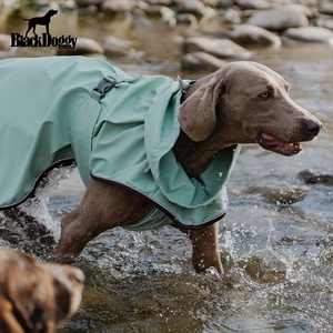 Imperméable jaune pour chien en polyester, design printemps-été, résistant aux intempéries, pour grands chiens, pointeur allemand - Product Image 1