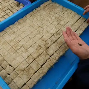 Hotsale 30x30x40mmRock lã como meio para hidroponia Cubos de lã de rocha hidropônica para o cultivo de Estufa Agrícola