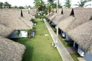 Usine Intérieur Extérieur Preuve UV Grand Faux Feuillage Branches D'arbre Feuille <span class=keywords><strong>Feuilles</strong></span> De Palmier Artificielles - Product Image 5