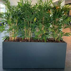 Jardinera Rectangular Grande de Fibra de Vidrio, Jardineras para Exteriores al por Mayor, Modernas y Clásicas para Hogar y Jardín, Ligeras - Product Image 4