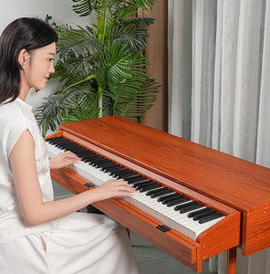 Bd Âm Nhạc Chuyên Nghiệp Bàn Phím 88 Trọng Phím Ngăn Kéo Đàn Piano Bàn Phím Điện Tử Đàn Piano Kỹ Thuật Số Đàn Piano Nhạc Cụ - Product Image 3