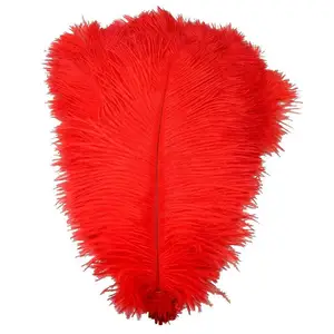 Red Ostrich Feather Male Ostrich Wing Plumes Feathers 24-26 inch 50 Pieces