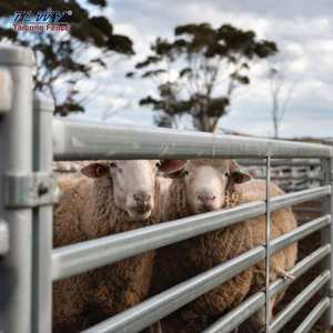 คอกแกะและแพะแกะแผงเลี้ยงปศุสัตว์แผงเลี้ยงแกะสไตล์ US - Product Image 3