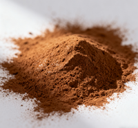 Poudre d'extrait d'acacia catechu alcaloïde pur supplément à base de plantes cultivées en milieu sauvage UV HPLC testé disponible sac bouteille tambour peut