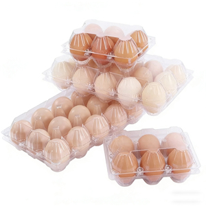 Barquette à œufs jetable en PET transparent durable pour supermarché, très vendue - Product Image 4