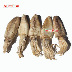 طعم عالي الجودة لصيد السمك الحبار المجفف لصيد السمك في البحر - Product Image 5