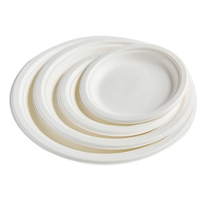 Sugarcane Disposable Paper Plates Round Food Grade Biodegradable For Party Casual Use - Product Image 1