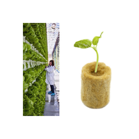 Blocs de laine de roche hydroponiques pour la culture et la propagation des plantes agricoles, pour usage en jardin, 2,7*2,7*2 cm