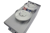 Bain-marie électrique professionnel en acier inoxydable 201 à deux bacs, capacité 2x4L, pour restaurant, cuisine, traiteur, équipement de buffet commercial