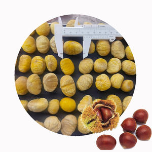XMSD kastanye beku permintaan tinggi | Kastanye kupas IQF Premium Ideal untuk makanan ringan, memanggang & produksi kalengan - Product Image 1