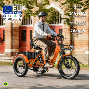Bicicleta Eléctrica con Llantas Gruesas de 20 Pulgadas, Batería de Litio de 48V 15Ah, Cuadro de Aluminio, Largo Alcance, para Adultos, Envío Directo desde Almacén Local en la UE, X13 KOOLUX - Product Image 5