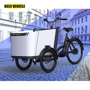 <span class=keywords><strong>Tricycle</strong></span> électrique à 3 roues avec moteur central, bicyclette néerlandaise pour transport des enfants, modèle - Product Image 6