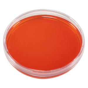 Placa de Petri End Peak Bio de 90 mm, estéril, con medio BCCSA para uso en laboratorio, paquete de 8 unidades - Product Image 2