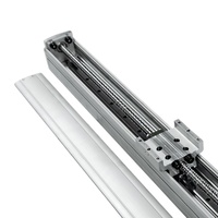 Módulo de movimiento lineal de aluminio de alta velocidad y precisión con guía lineal integrada, actuador y rodamientos para robot cartesiano de recogida y colocación.