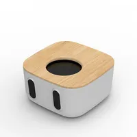 Music Sustainable Bamboo Wood Music Audio Player Mini Portable Wireless Bt 5.0 Speaker