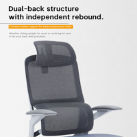 Chaise de bureau ergonomique en maille avec repose-pieds, dossier haut, chaise d'ordinateur à haute élasticité avec accoudoirs 3D