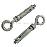 China Fasteners Wedge Anchor Eye Hook Wall Anchor Expansion Bolts