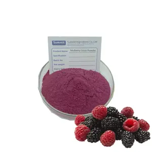 100% Natural Mulberry Extract Powder Mulberry Fruit Powder Mulberry Juice Powder