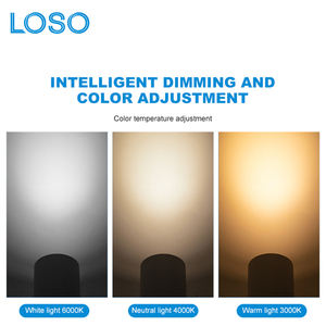 Usine Angle D'approvisionnement Réglable Aéroport Hôtel Magasin En Aluminium Led 20W 30W Rail Système Rail Lumière - Product Image 3