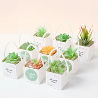 Sac d'emballage personnalisé pour cactus, emballages pour plantes succulentes, boîte cadeau pour plantes avec poignées en plastique