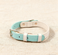 Ventes d'usine en cuir marche quotidienne couleur mélangée accessoires pour animaux de compagnie élégant confortable boucle en métal chat collier de chien en Stock