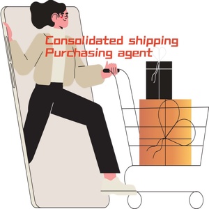 Agente de Compras en China para Pinduoduo, <span class=keywords><strong>Taobao</strong></span>, 1688, Alibaba-JD, Alibaba China Wholesale, Agente de Carga - Product Image 5