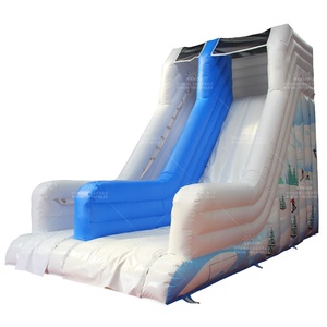 Custom Large Outdoor Commercial PVC Inflatable Skiing <b>Water</b> <b>Slide</b> WINSUN WSS-335 100-500kg Capacity - Product Image 1