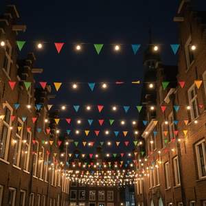 Cable de Acero Inoxidable 7x7 con Recubrimiento de Nailon Negro para <span class=keywords><strong>Tendedero</strong></span> - Product Image 6