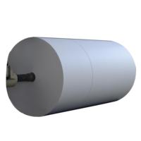 Rouleaux de papier peint en PVC imprimable, habituellement vierges, revêtement PE double face aseptique sans amiante, jetables et recyclables