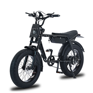 Nuovo Design Bici Elettrica Veloce 20 Pollici 750W 48V 1500W Bicicletta Elettrica Ebike 7 Velocità 50km/h Bici Elettrica da Montagna - Product Image 1