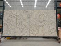 Dalle de pierre de travertin translucide moderne pour revêtement mural intérieur, résistante au feu et imperméable, design grand format
