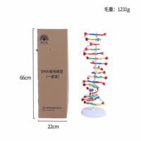 Modèle de structure de l'ADN à double hélice - Jouet éducatif en PVC durable pour l'école