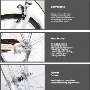Vélo de ville pour femme en acier à haute teneur en carbone, vintage, 24/<span class=keywords><strong>26</strong></span> pouces, pneus durables, vitesse unique, frein à étrier latéral, vélo classique pour femme - Product Image 5