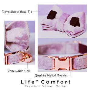 Collar personalizado Veet para gatos y perros pequeños con juego de correa y lazo, etiqueta con nombre grabada personalizada gratis - Product Image 5