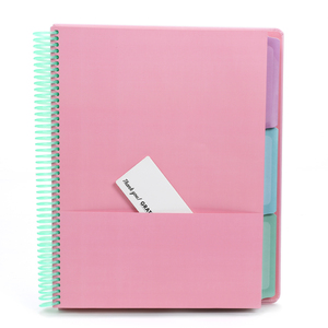 工厂价格纸板纸印刷塑料螺旋装订期刊议程定制螺旋笔记本礼品 - Product Image 3