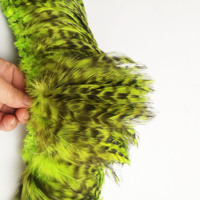 Plumes de coq chinchilla teintées de 4-6 pouces, en guirlande, pour montage de mouches de pêche, costumes de carnaval et accessoires