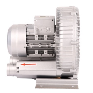 Ventilatore ad anello da tavolo ad <span class=keywords><strong>aria</strong></span> con pompa <span class=keywords><strong>a</strong></span> <span class=keywords><strong>Gas</strong></span> <span class=keywords><strong>a</strong></span> vortice/1 Hp argento ad alta pressione in ghisa alluminio <span class=keywords><strong>soffiatore</strong></span> ad <span class=keywords><strong>aria</strong></span> <span class=keywords><strong>calda</strong></span> macchina ventilatore elettrico - Product Image 2