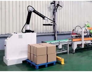 自動カートン梱包ラインボックス共同ロボットPalletizerマシン - Product Image 4