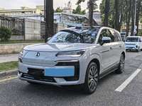PRÊT À EXPÉDIER - DENZA N9 2.0T D'OCCASION