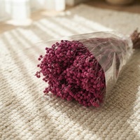 Fournisseur en gros unique d'agrumes corallins naturels préservés pour la décoration intérieure, les bouquets DIY et les arrangements de mariage
