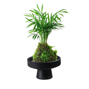 <span class=keywords><strong>Pot</strong></span> de fleurs en céramique semi-artisanal de style chinois, motif <span class=keywords><strong>Iris</strong></span> de bambou 'June Snow', vintage, style Zen, récipient d'arrangement Kenzan pour la maison - Product Image 4