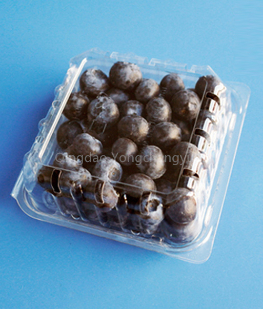 Food Grade Plastic clear Disposable 125gr Fruit Punnet Box Berry Clamshell Blueberry Clamshell Box