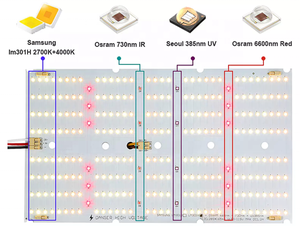240w cuántica Samsung 301 lm H mezcla uv IR rojo crecer espectro de luz led crecer luces 4 interruptores para planta de etapas - Product Image 3