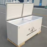 Congélateur coffre commercial à fréquence variable, congélateur coffre profond
